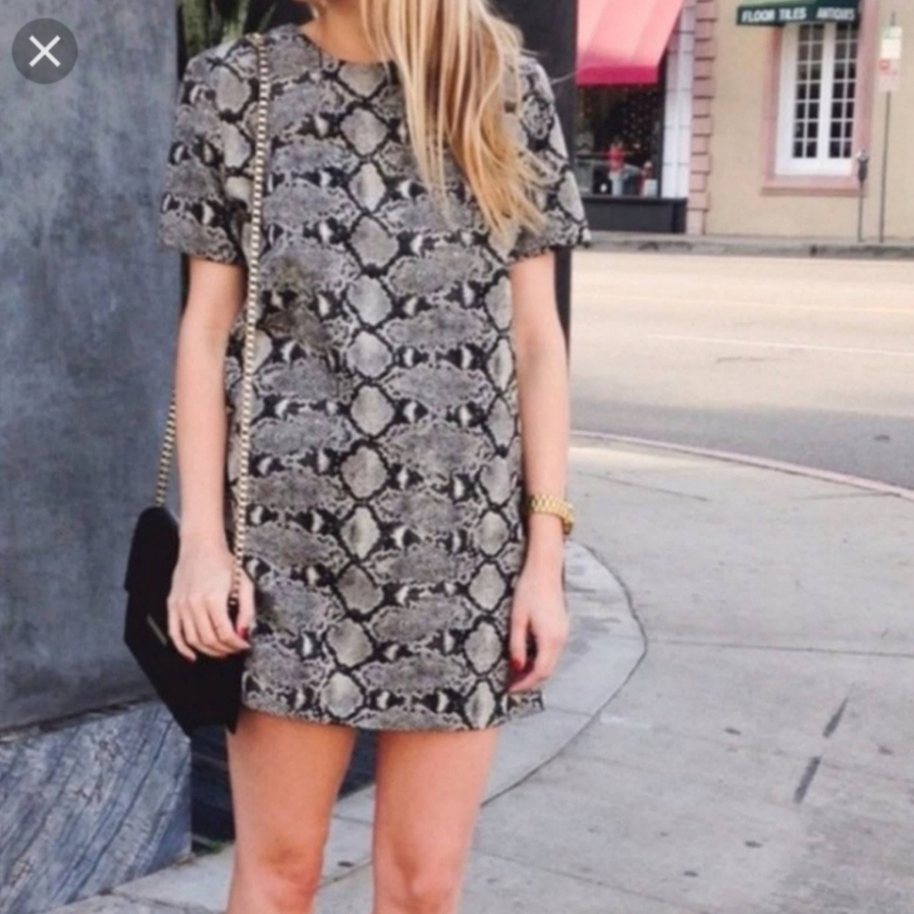 Zara snake skin shift